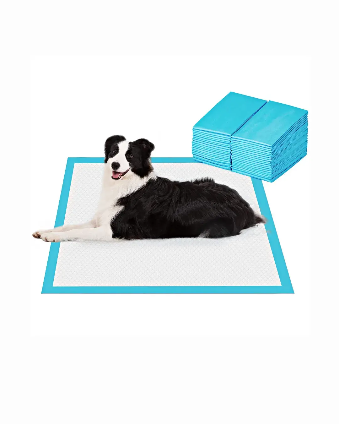 Tapetes Absorbentes de Orina para Mascotas